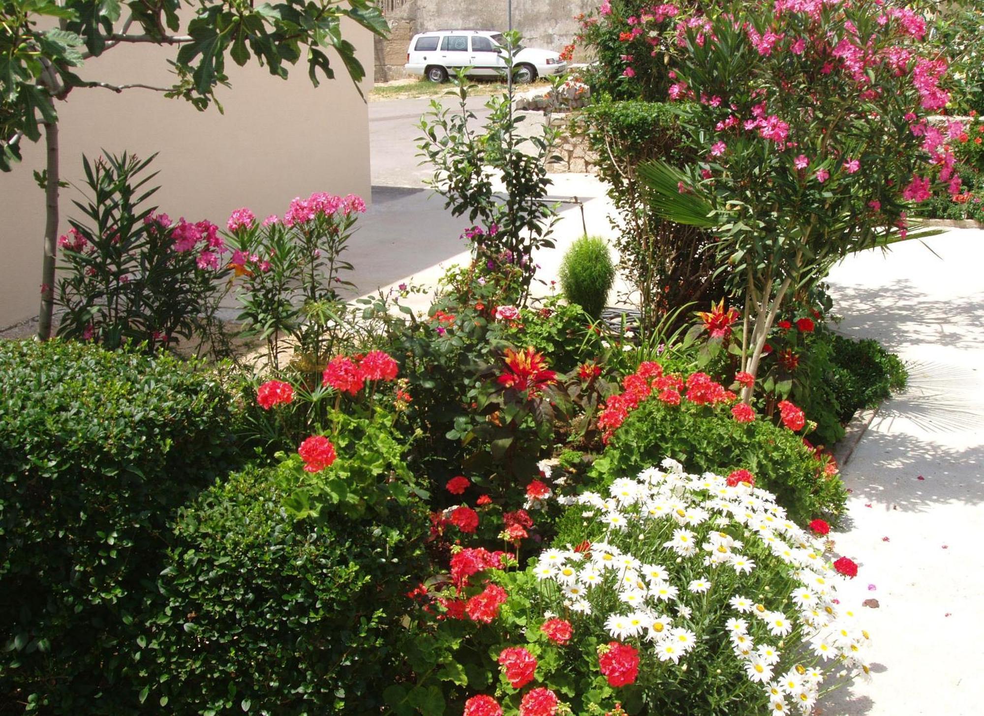 Apartments With A Parking Space Povljana, Pag - 228 ภายนอก รูปภาพ